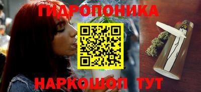прущие грибы Гагарин