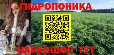 прущие грибы Гагарин