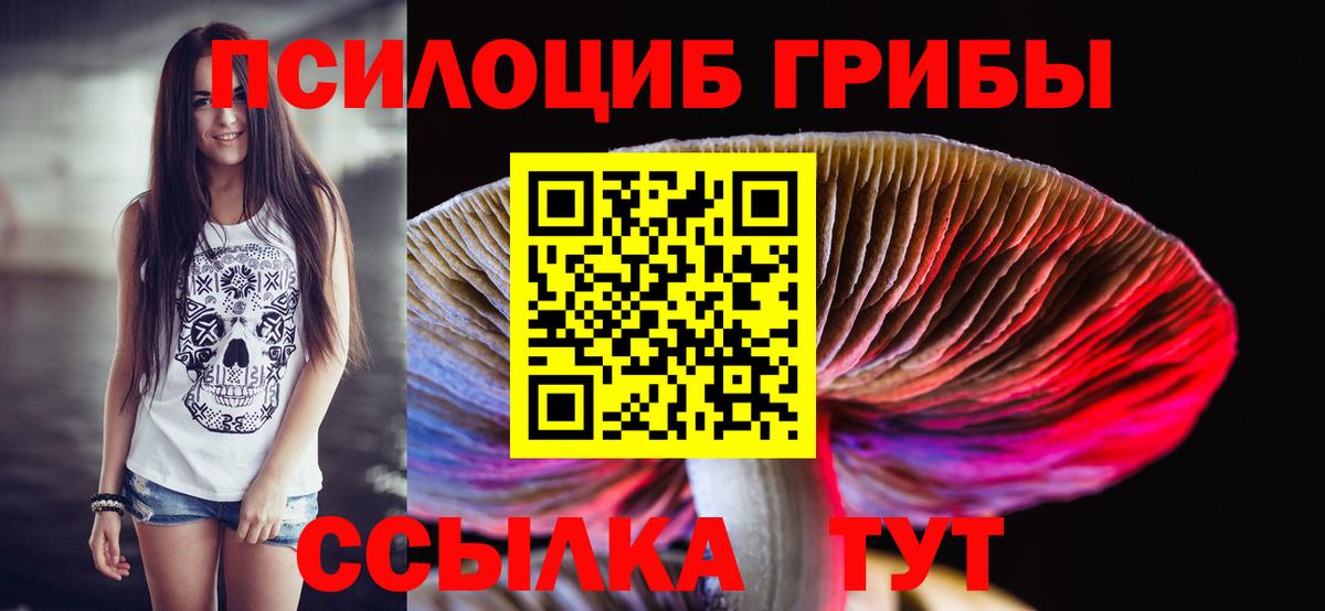 Ноябрьск  Галлюциногенные грибы мицелий  Псилоцибиновые грибы MAGIC MUSHROOMS  Вход с VPN 