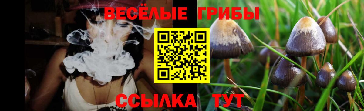 Галлюциногенные грибы прущие грибы Ноябрьск